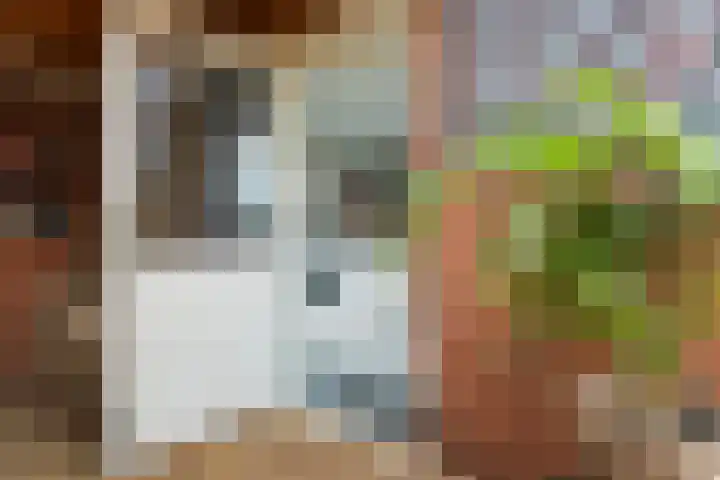 Spanjaardsweg 6 Wedde thumbnail 33