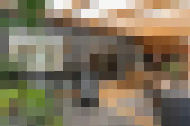 Spanjaardsweg 6 Wedde thumbnail 37