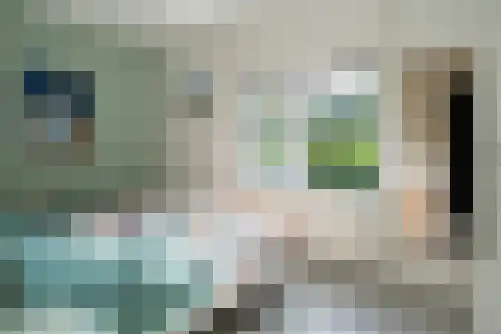 Spanjaardsweg 6 Wedde thumbnail 41