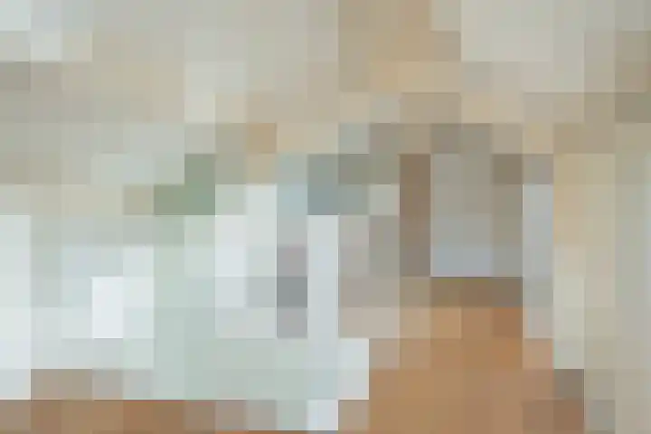 Spanjaardsweg 6 Wedde thumbnail 46