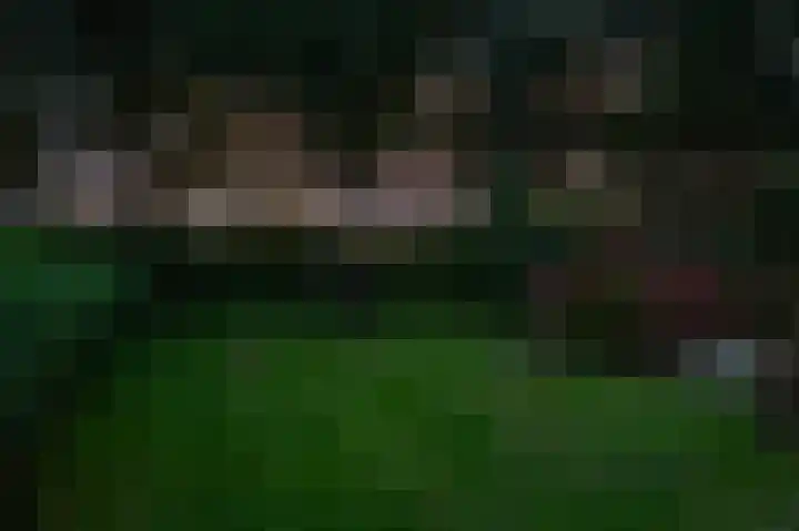 Spanjaardsweg 6 Wedde thumbnail 51