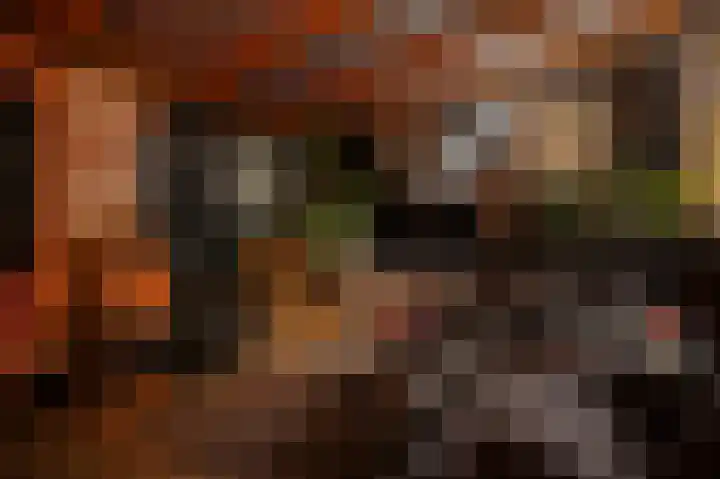 Spanjaardsweg 6 Wedde thumbnail 59
