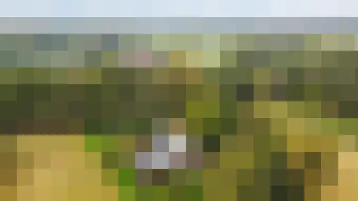 Spanjaardsweg 6 Wedde thumbnail 6