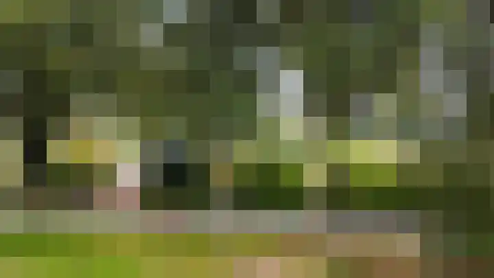 Spanjaardsweg 6 Wedde thumbnail 61