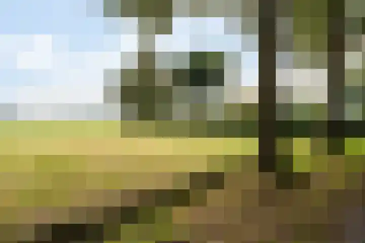 Spanjaardsweg 6 Wedde thumbnail 62