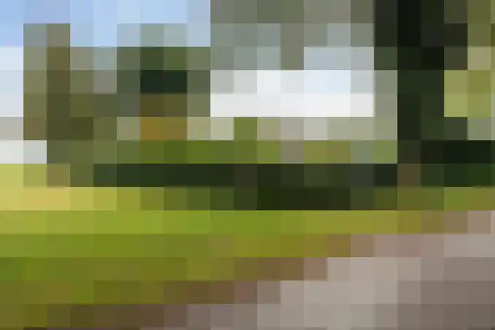 Spanjaardsweg 6 Wedde thumbnail 63