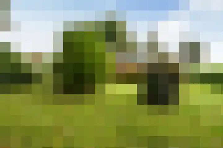 Spanjaardsweg 6 Wedde thumbnail 65