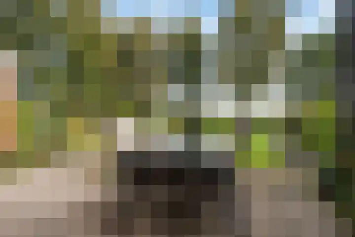 Spanjaardsweg 6 Wedde thumbnail 68