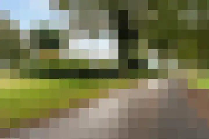 Spanjaardsweg 6 Wedde thumbnail 7