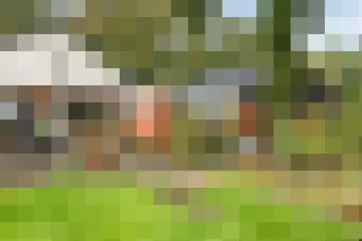 Spanjaardsweg 6 Wedde thumbnail 70