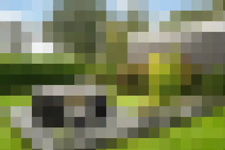Spanjaardsweg 6 Wedde thumbnail 72
