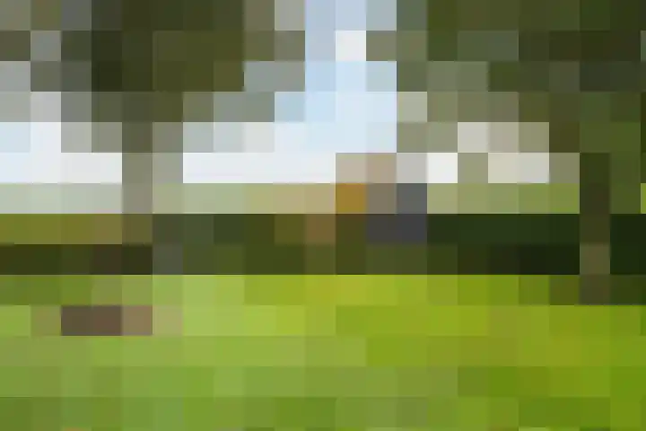 Spanjaardsweg 6 Wedde thumbnail 73