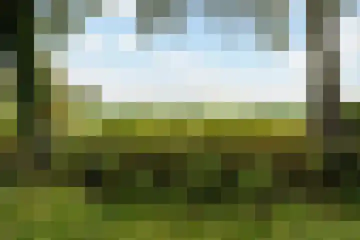 Spanjaardsweg 6 Wedde thumbnail 74