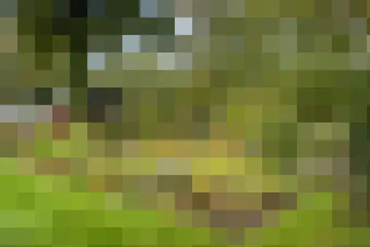 Spanjaardsweg 6 Wedde thumbnail 75