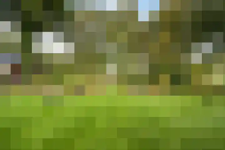 Spanjaardsweg 6 Wedde thumbnail 76