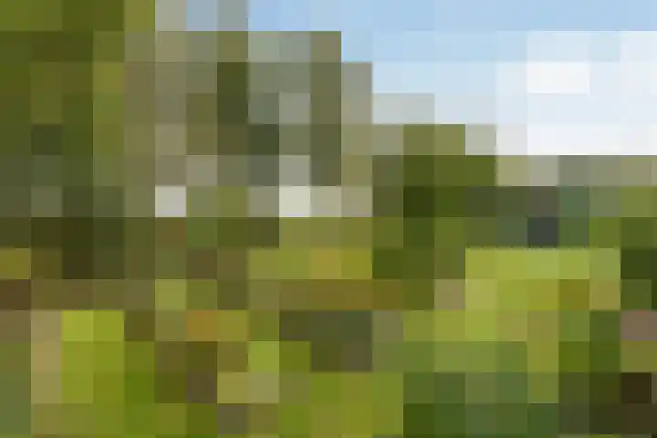 Spanjaardsweg 6 Wedde thumbnail 78
