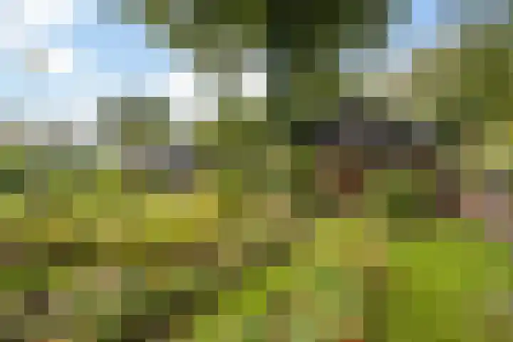 Spanjaardsweg 6 Wedde thumbnail 79