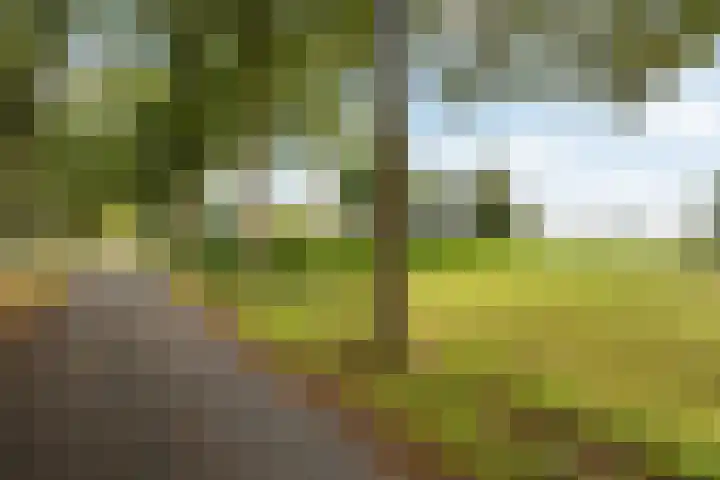 Spanjaardsweg 6 Wedde thumbnail 8