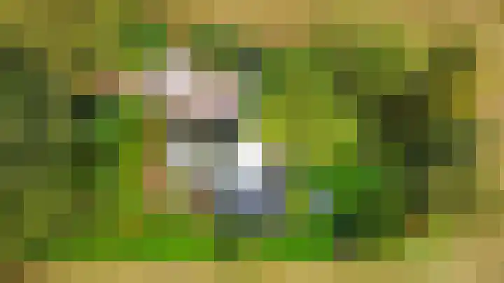 Spanjaardsweg 6 Wedde thumbnail 80