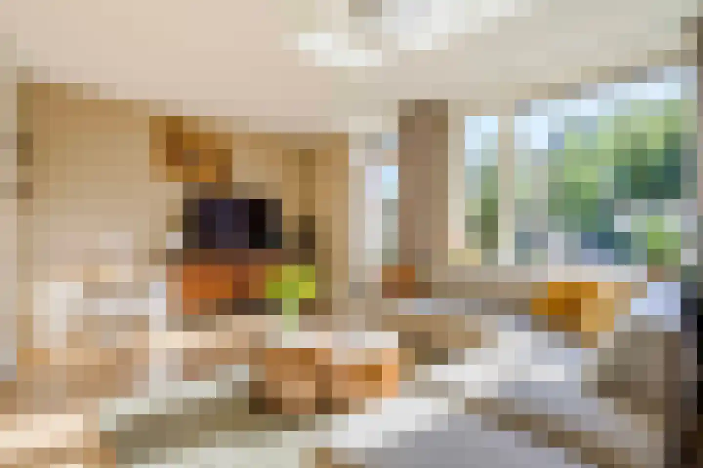 Spanjaarskrocht 27 Noordwijkerhout thumbnail 10