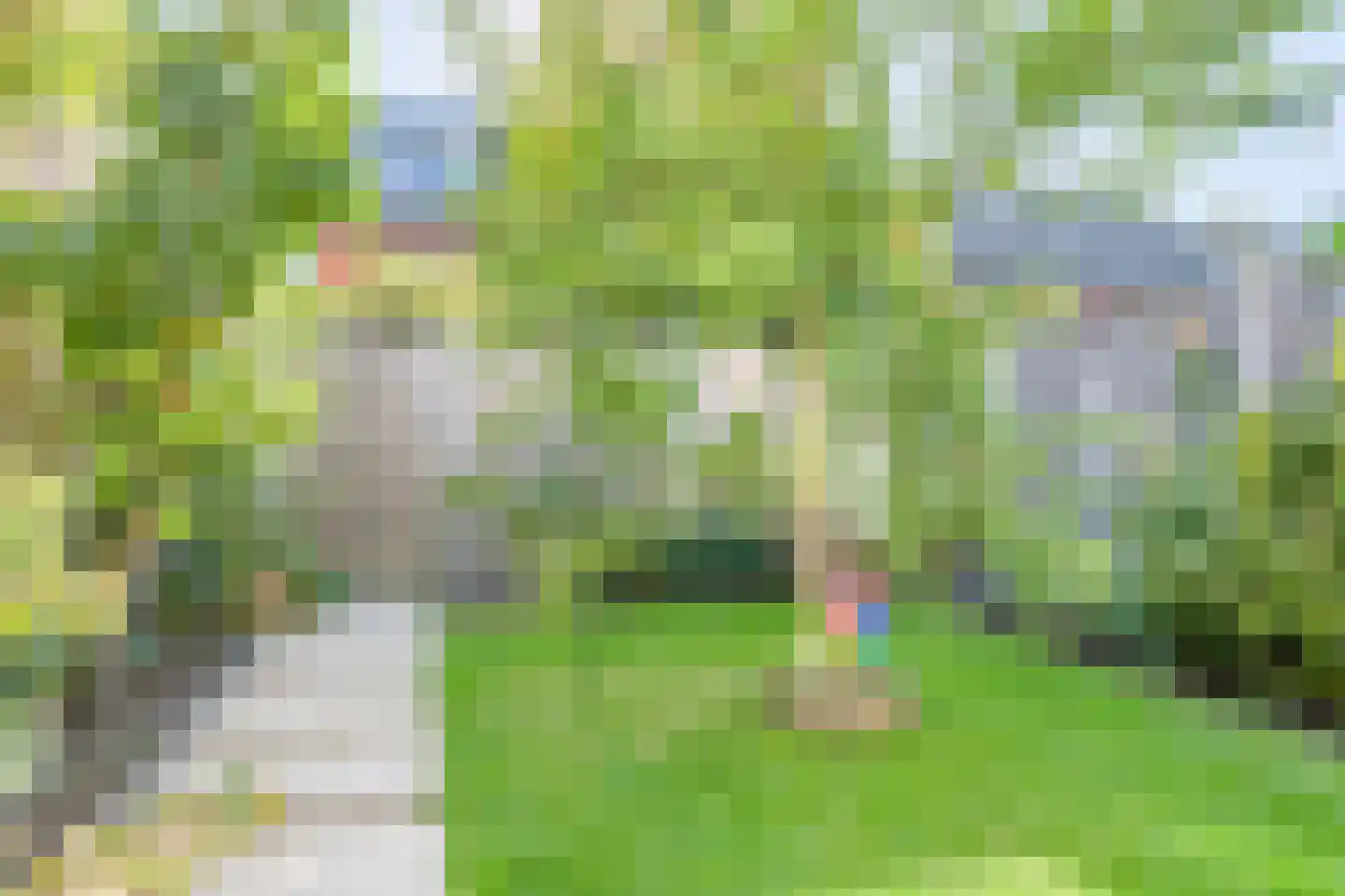 Spanjaarskrocht 27 Noordwijkerhout thumbnail 20