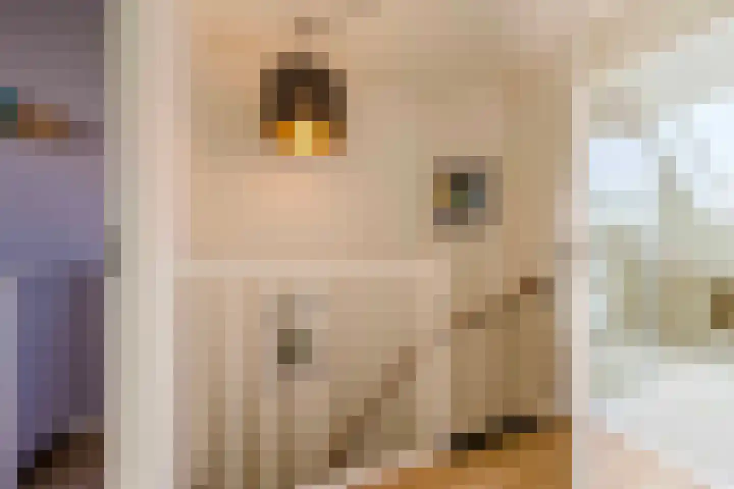 Spanjaarskrocht 27 Noordwijkerhout thumbnail 23