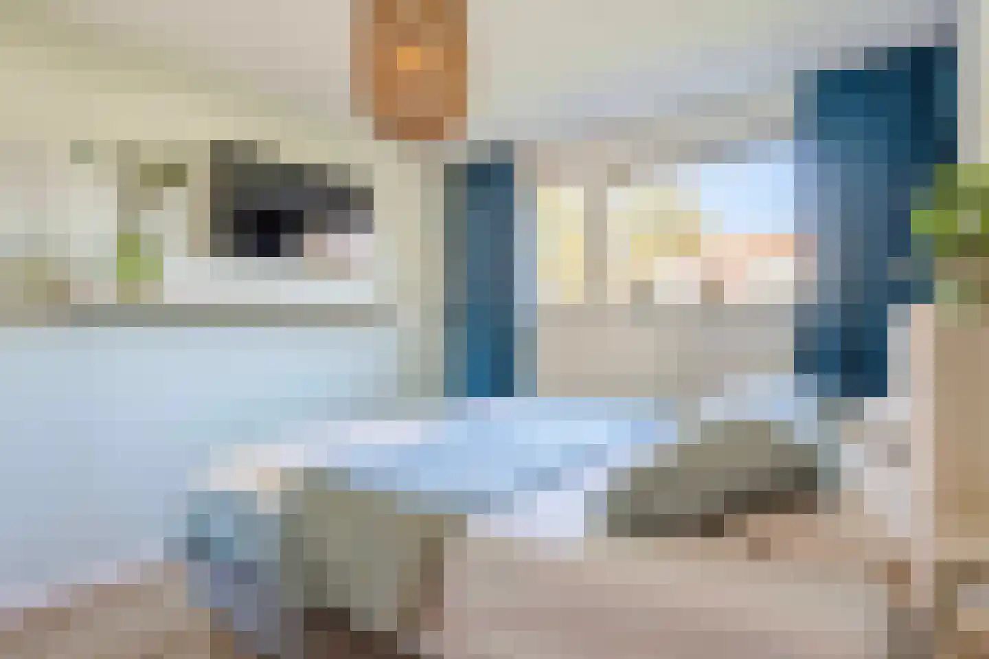 Spanjaarskrocht 27 Noordwijkerhout thumbnail 26