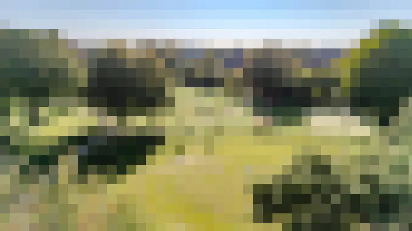 Spanjaarskrocht 27 Noordwijkerhout thumbnail 36