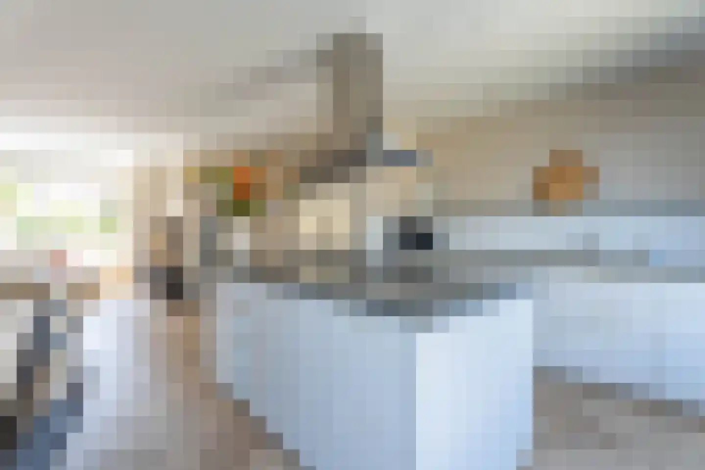 Spanjaarskrocht 8 Noordwijkerhout thumbnail 10