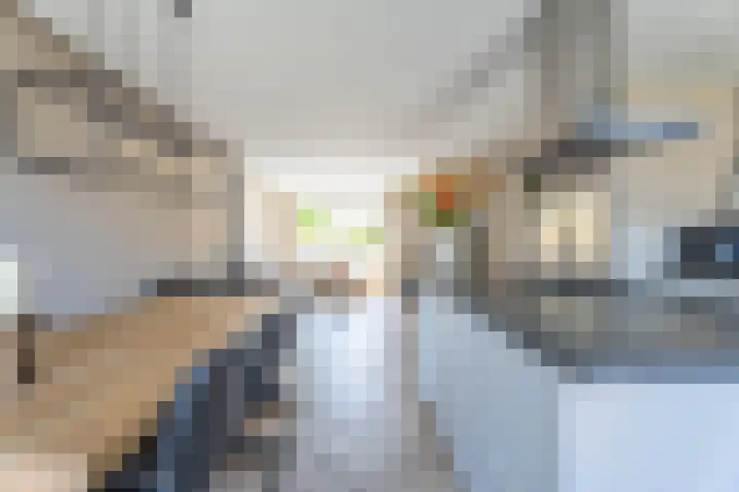 Spanjaarskrocht 8 Noordwijkerhout thumbnail 12