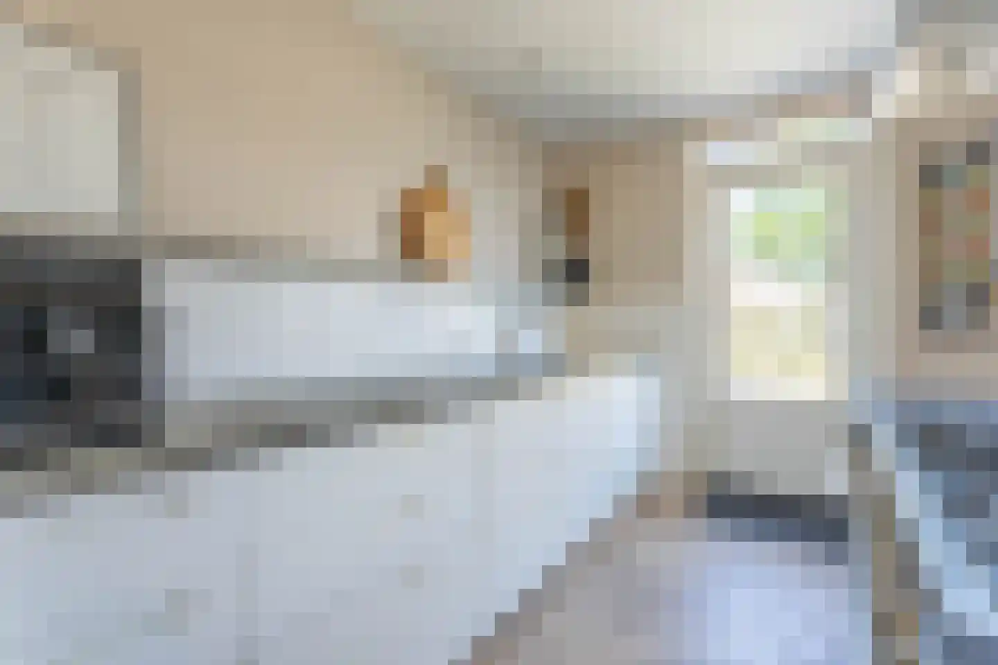 Spanjaarskrocht 8 Noordwijkerhout thumbnail 17