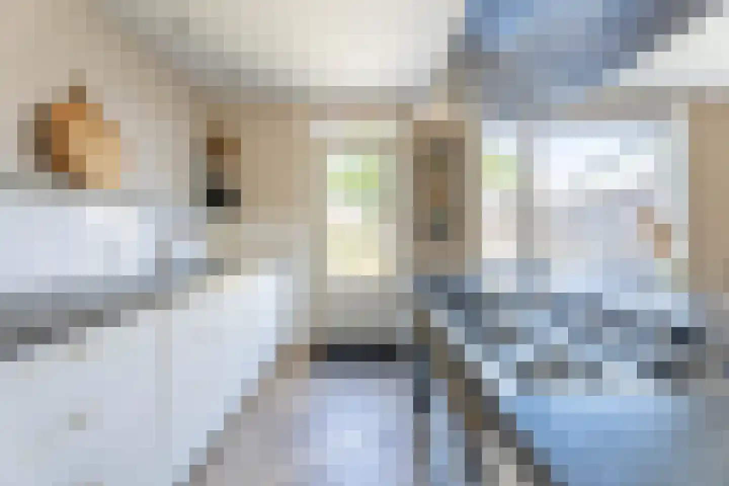 Spanjaarskrocht 8 Noordwijkerhout thumbnail 18