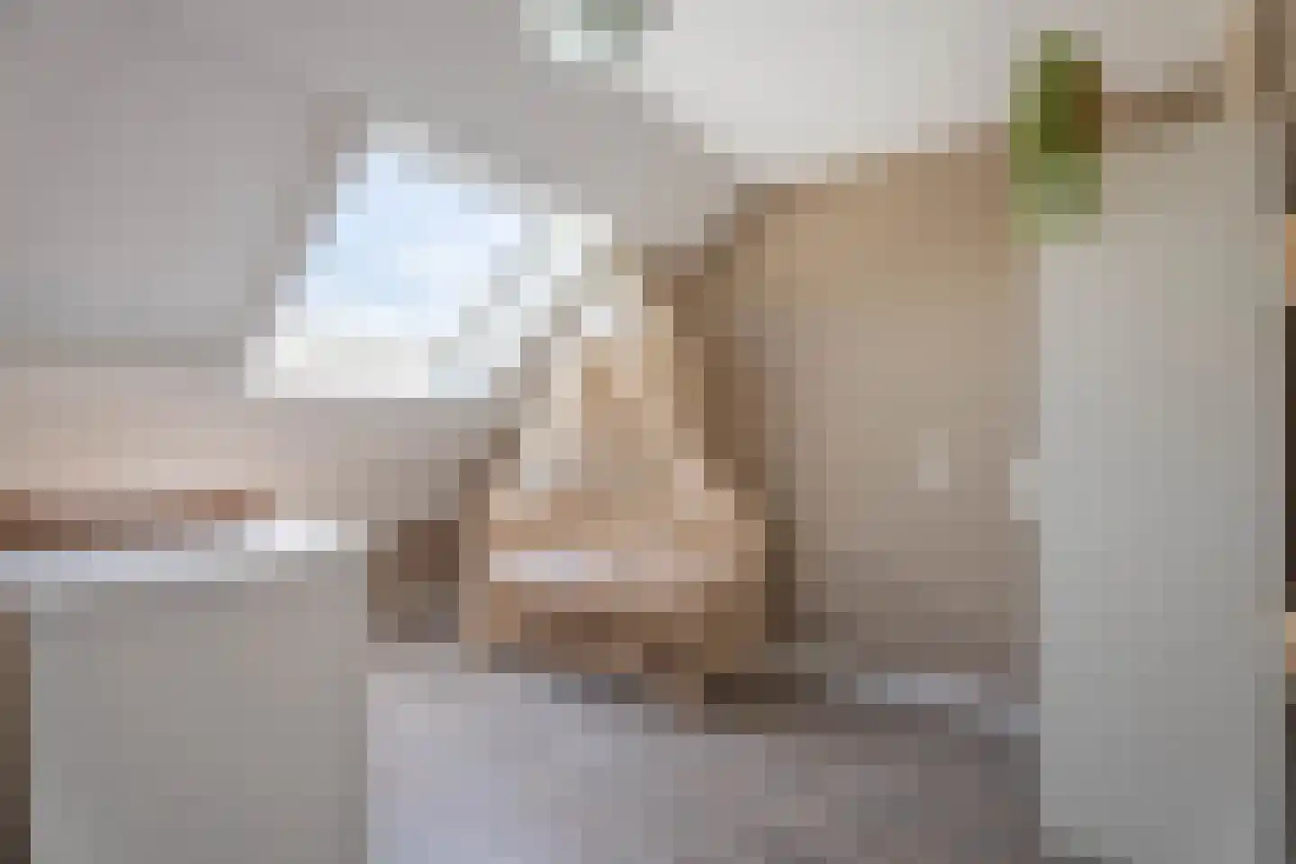 Spanjaarskrocht 8 Noordwijkerhout thumbnail 26