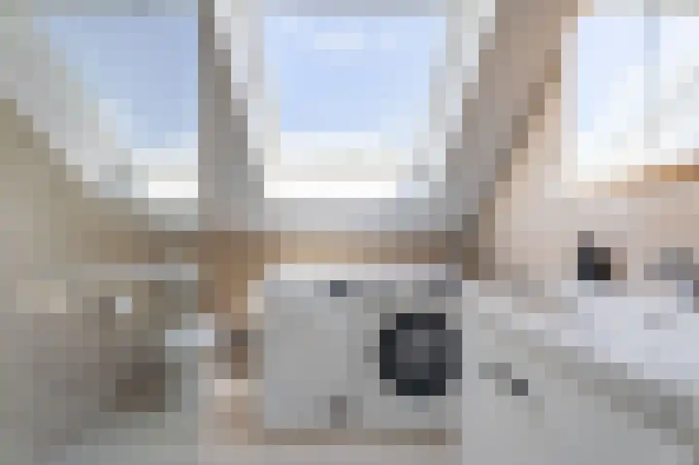 Spanjaarskrocht 8 Noordwijkerhout thumbnail 29
