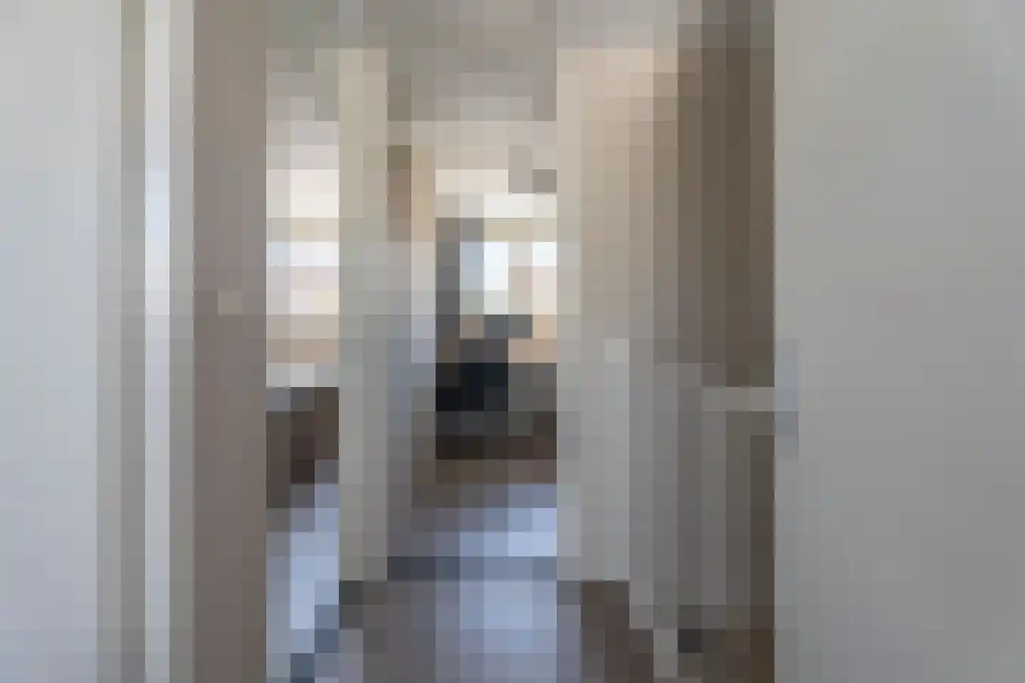 Spanjaarskrocht 8 Noordwijkerhout thumbnail 31