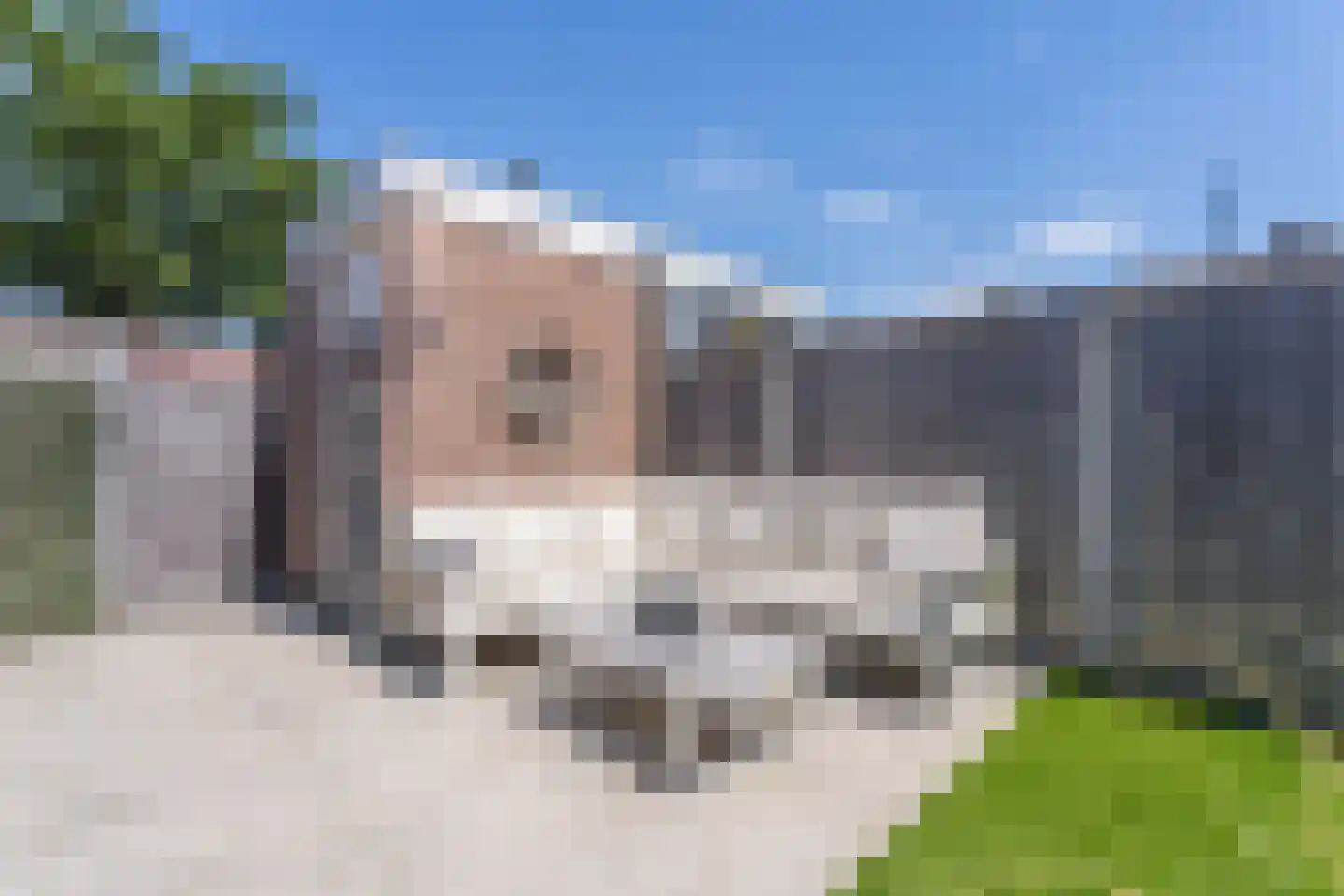 Spanjaarskrocht 8 Noordwijkerhout thumbnail 37