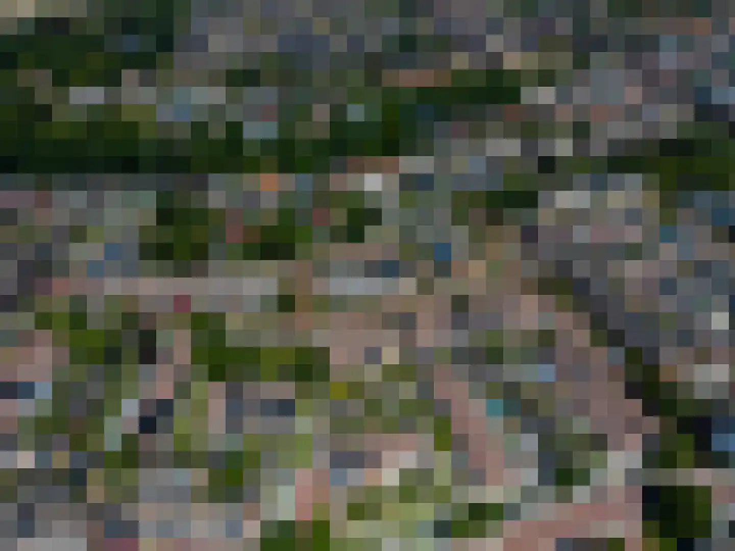 Spanjaarskrocht 8 Noordwijkerhout thumbnail 42