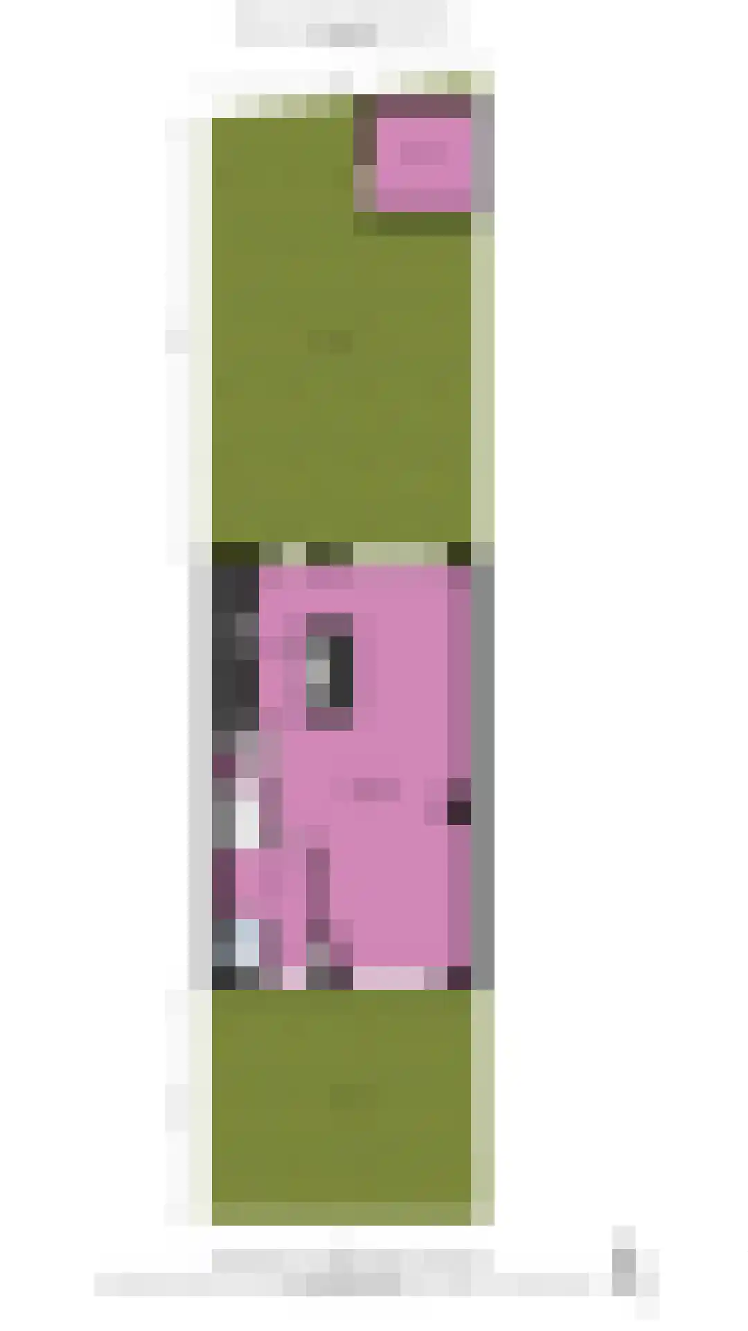 Spanjaarskrocht 8 Noordwijkerhout thumbnail 49