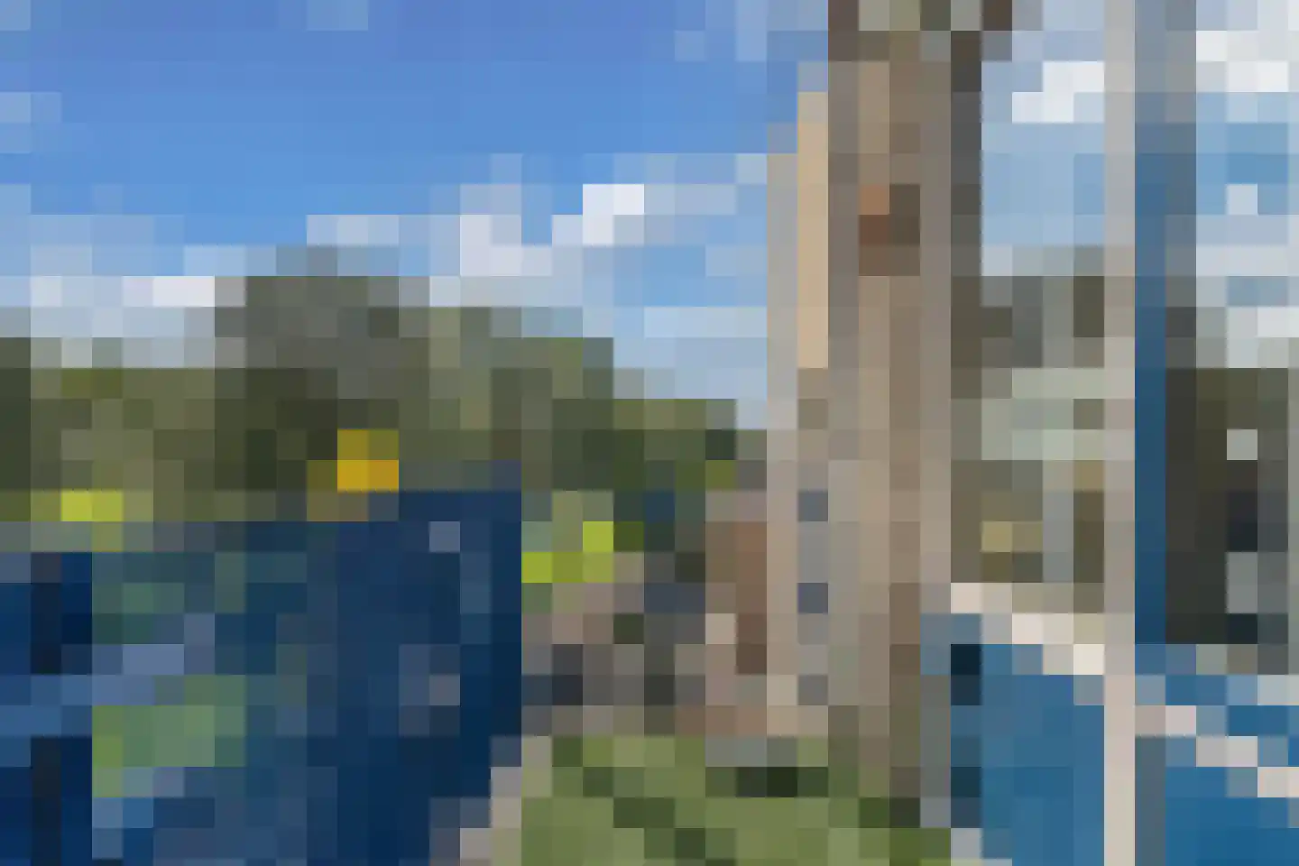 Spanjesingel 22 Alphen aan den Rijn thumbnail 11