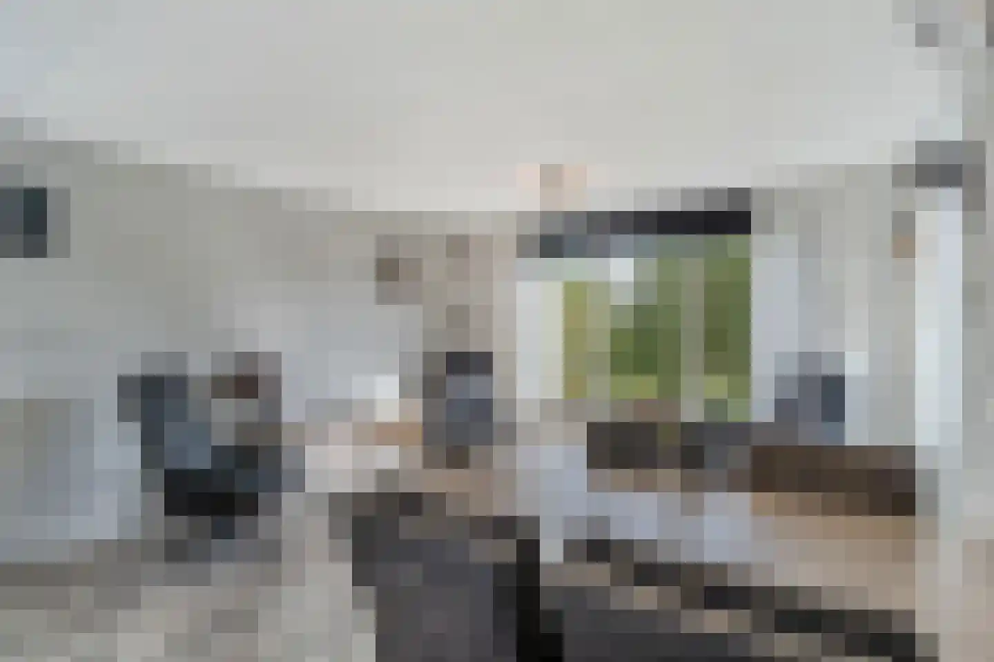 Spanjesingel 22 Alphen aan den Rijn thumbnail 15