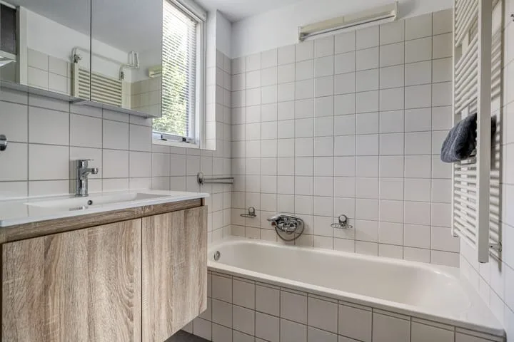 Spanjesingel 66 Alphen aan den Rijn thumbnail 19