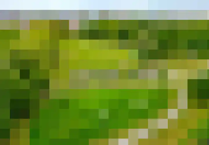 Spanjesingel 82 Alphen aan den Rijn thumbnail 4