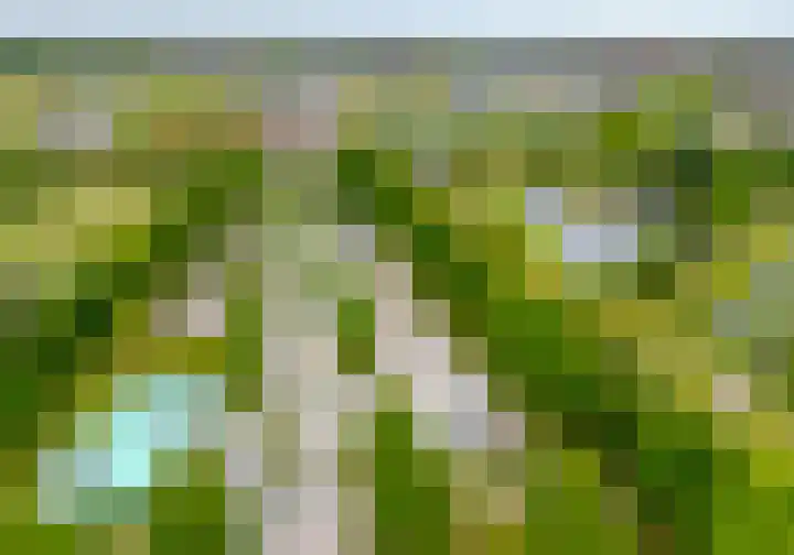 Spanjesingel 82 Alphen aan den Rijn thumbnail 5