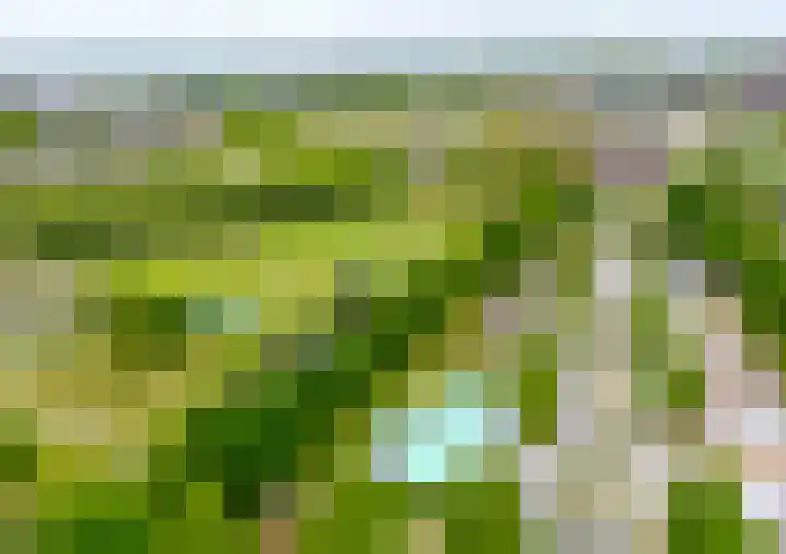 Spanjesingel 82 Alphen aan den Rijn thumbnail 6