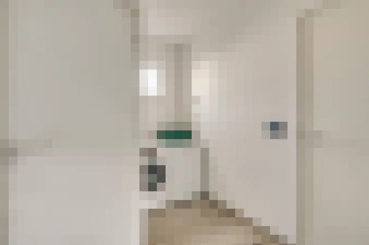 Spanjestraat 2 Montfort thumbnail 15