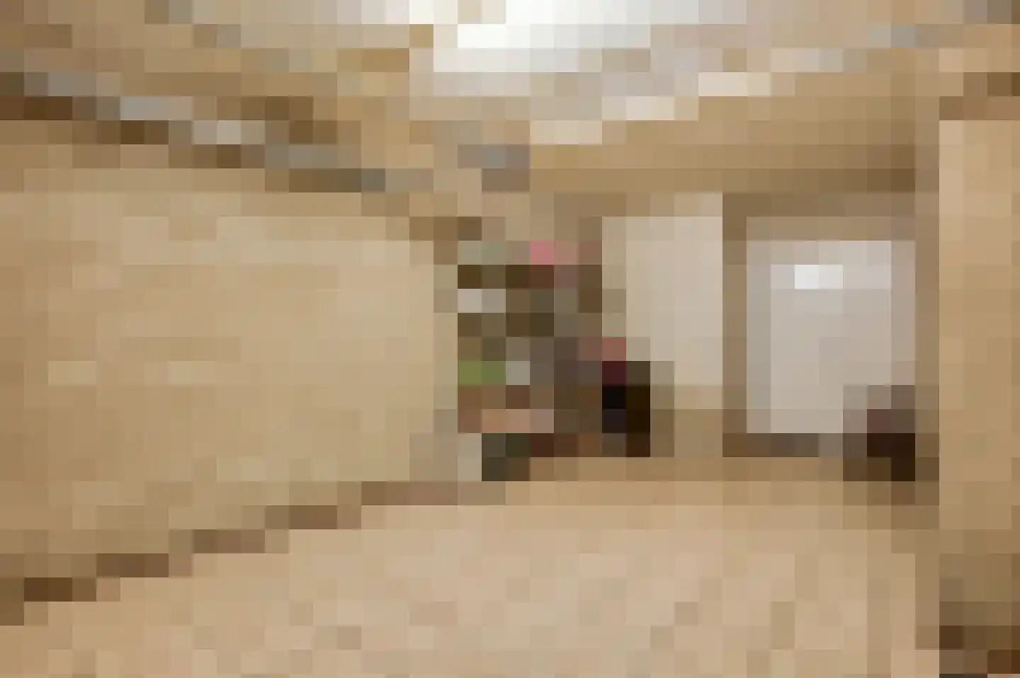 Spanjestraat 2 Montfort thumbnail 15