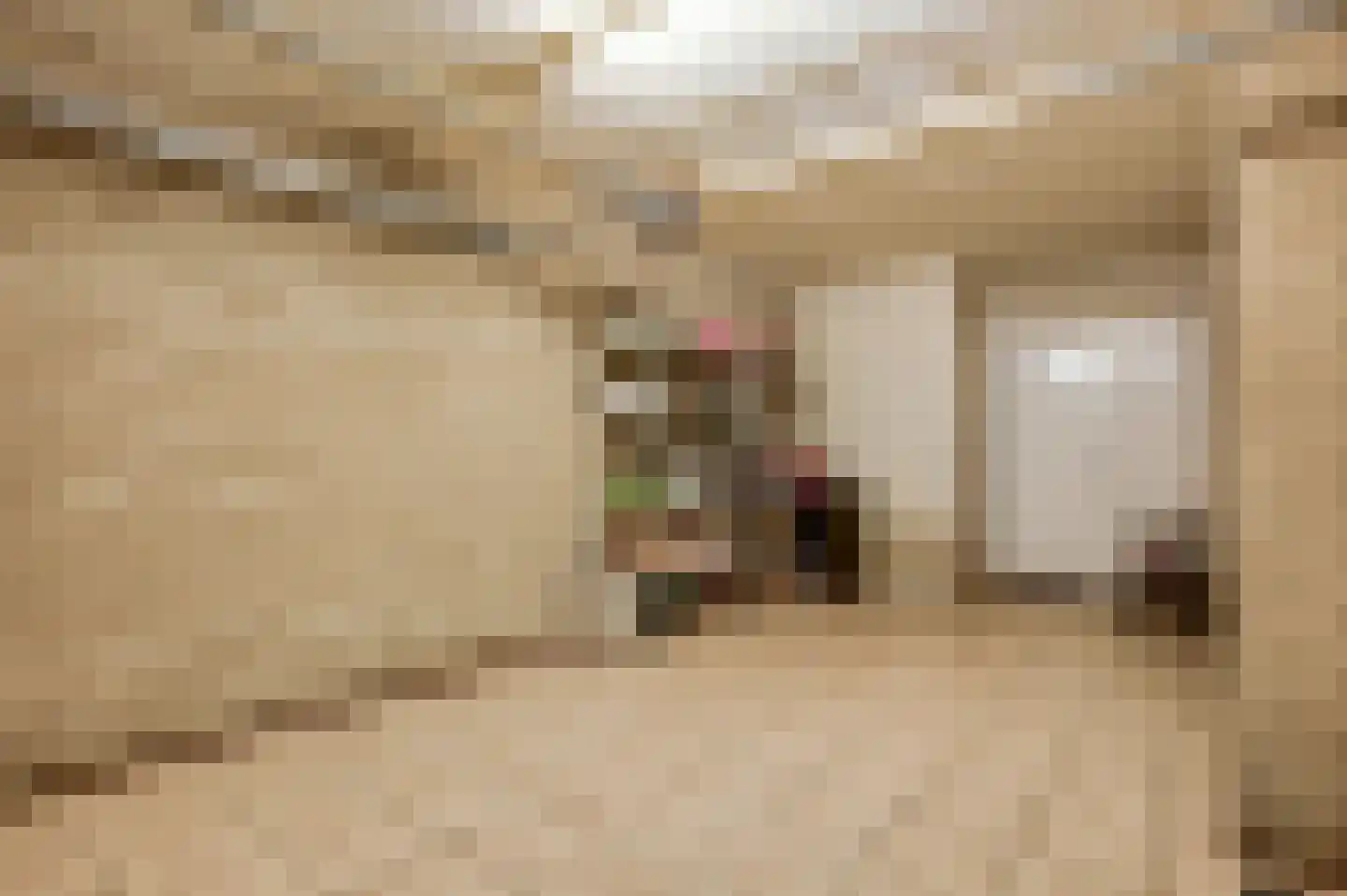 Spanjestraat 2 Montfort thumbnail 19