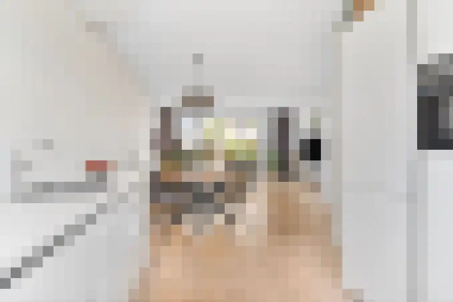 Spanjestraat 54 Lent thumbnail 16