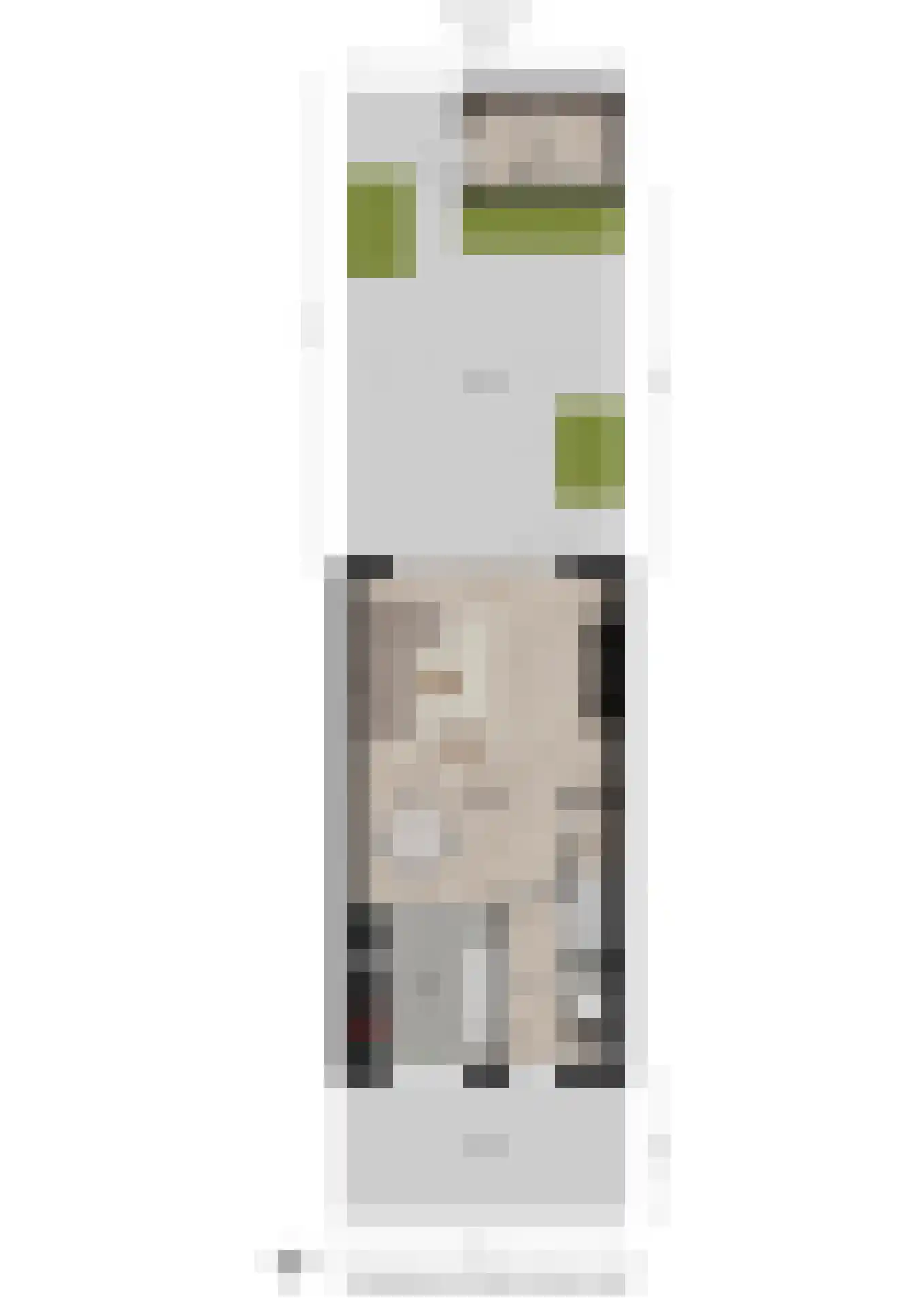 Spanjestraat 54 Lent thumbnail 47