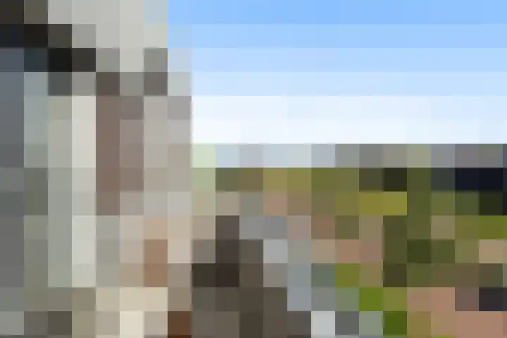 Spanjestraat 62 Almere thumbnail 8